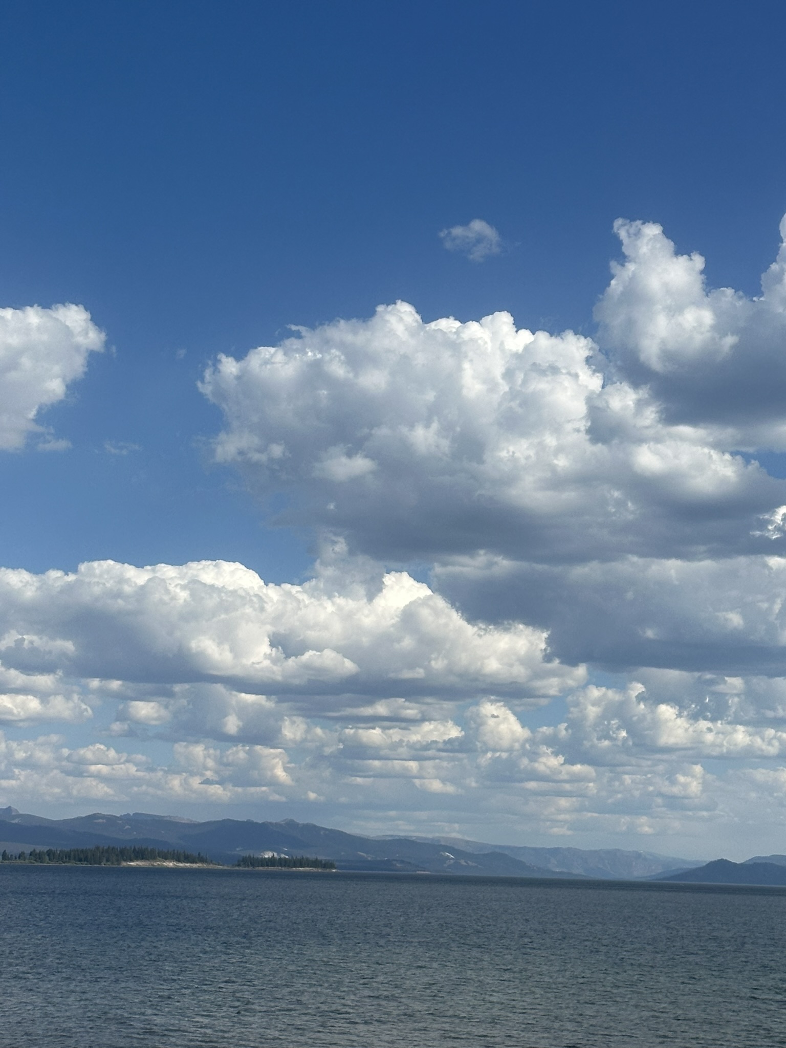 Yellowstone And Grand Teton National Parks - Image 1486